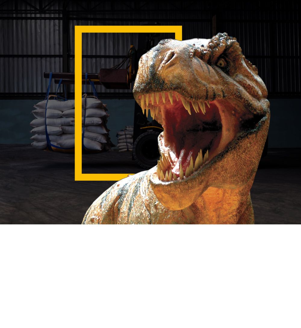 Grupo GLM - Empresa logística en Barranquilla especializada en maquinaria, combustible y soporte industrial